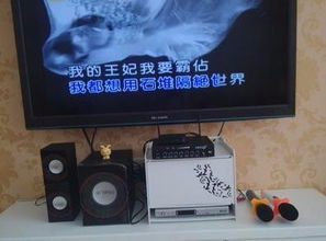 唱卡拉ok需要什么樣的設(shè)備,以及需要哪幾個(gè)部件的音響設(shè)備